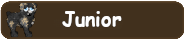 Junior Titles